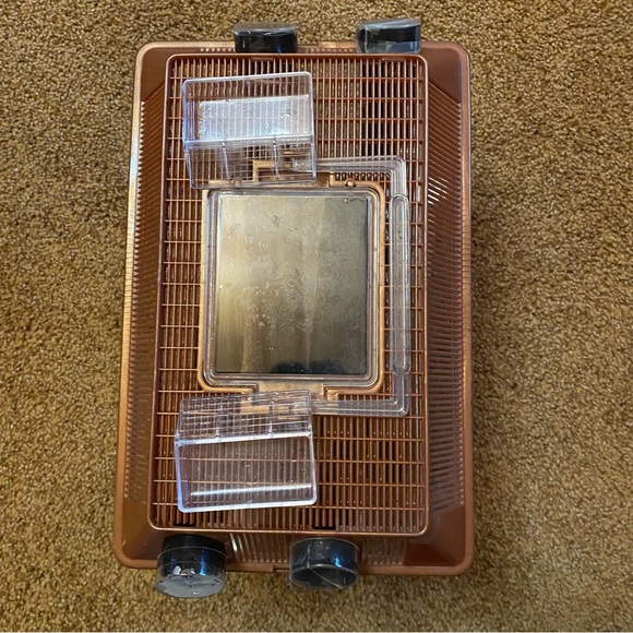 🐕🦺3 for $20 - ❤️🩹Host Pick - Cricket Cage - Picture 4 of 7